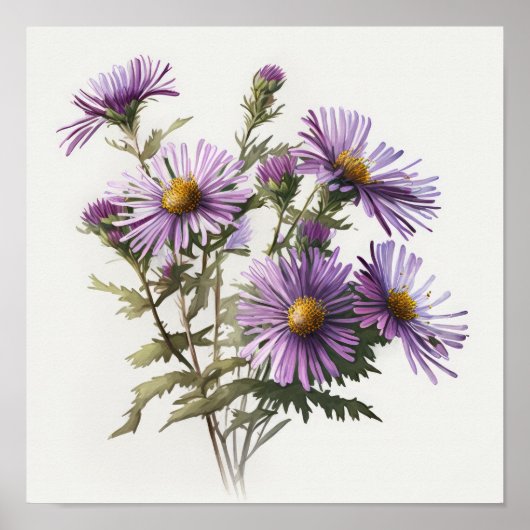 Lila Aster-Blumen-Kunstposter Poster (Vorne)