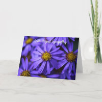 Lila Aster Garden-Blume mit tiefem Beileid