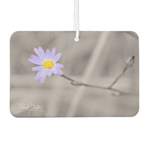Lila Aster in selektiver Farbe Autolufterfrischer