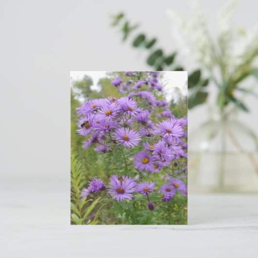 Lila Aster Postkarte (Stehend Vorderseite)