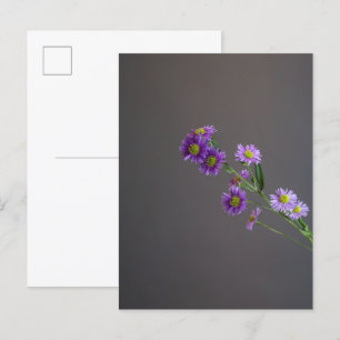 Lila Aster Postkarte