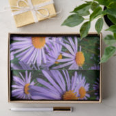 Lila Aster Seidenpapier (Geschenk)