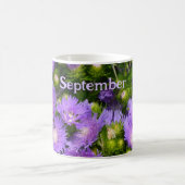 Lila Aster-Wildblumen Fotografie Kaffeetasse (Mittel)