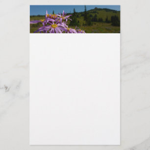 Lila Asterblüten am Mount Rainier Briefpapier