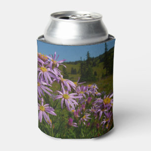 Lila Asterblüten am Mount Rainier Dosenkühler