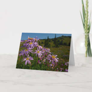 Lila Asterblüten am Mount Rainier Karte