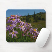 Lila Asterblüten am Mount Rainier Mousepad (Mit Mouse)