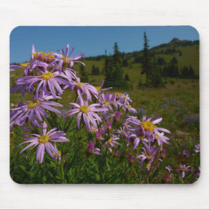 Lila Asterblüten am Mount Rainier Mousepad