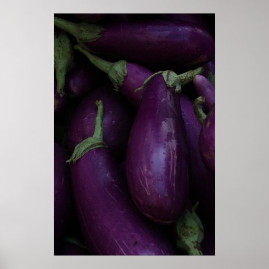 lila Aubergine Poster (Vorne)