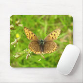 Lila ausgestreckte Kupfer-Schmetterlingsmuse Mousepad (Mit Mouse)
