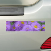 Lila Autoaufkleber (Auf Auto)