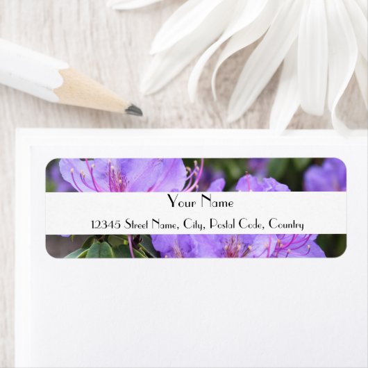 Lila Azalea-Blume adressieren Etiketten (Insitu)
