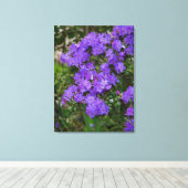 Lila Azalea Canvas Leinwanddruck (Insitu (Holzboden))