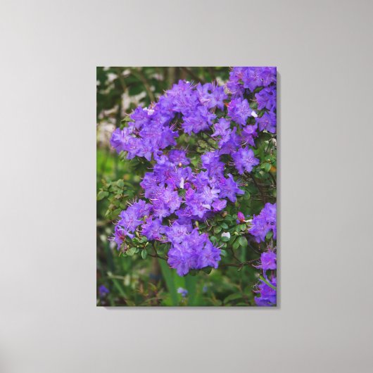 Lila Azalea Canvas Leinwanddruck (Vorderseite)