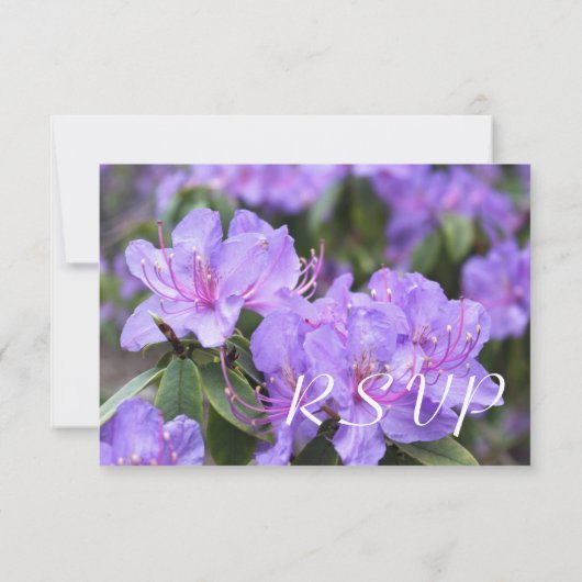 Lila Azalea floral RSVP-Karten RSVP Karte (Rückseite)