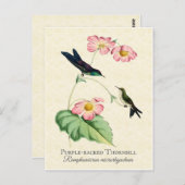 Lila Backed Thornbill Hummingbird Art Postkarte (Vorne/Hinten)