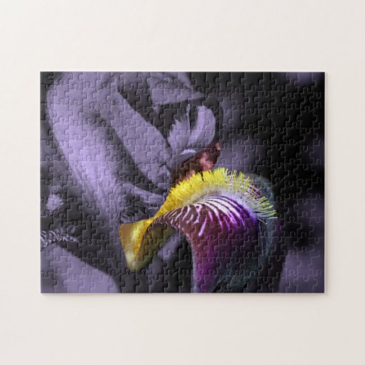 Lila Bartete Iris Blume Petal Puzzle (Horizontal)
