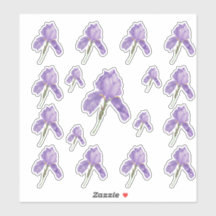 Lila Barti in verschiedenen Größen