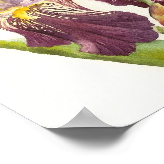 Lila Barti Poster (Ecke)