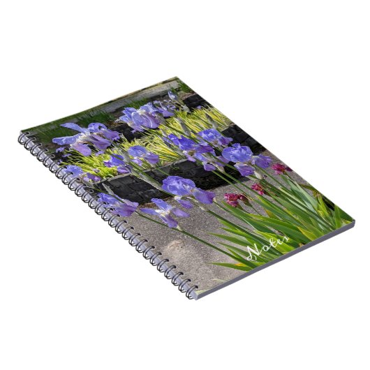 Lila Bartiren Notizblock (Rechte Seite)