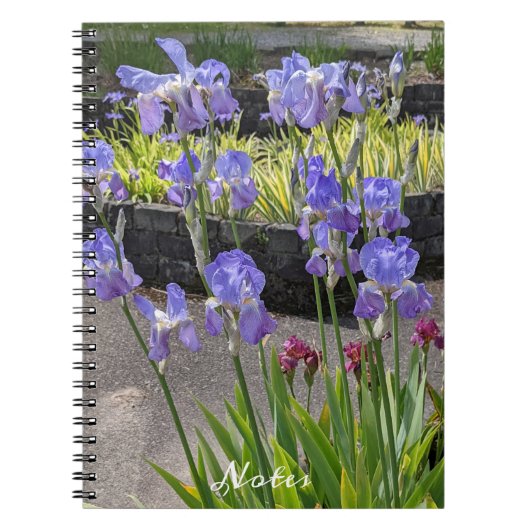 Lila Bartiren Notizblock (Vorderseite)