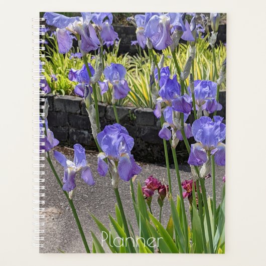 Lila Bartiren Planer (Vorderseite)