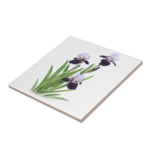 Lila Bartiris-Trio Florale Botanische Kunst Fliese