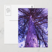 Lila Baum Postkarte (Vorne/Hinten)