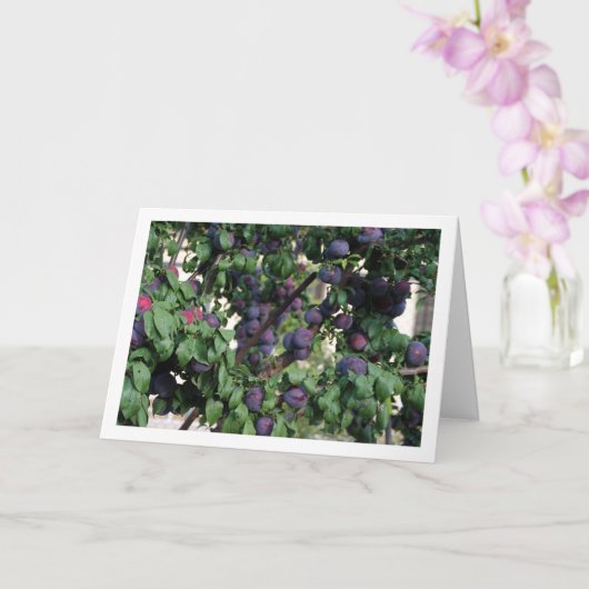 Lila Bäume Karte (Orchidee)