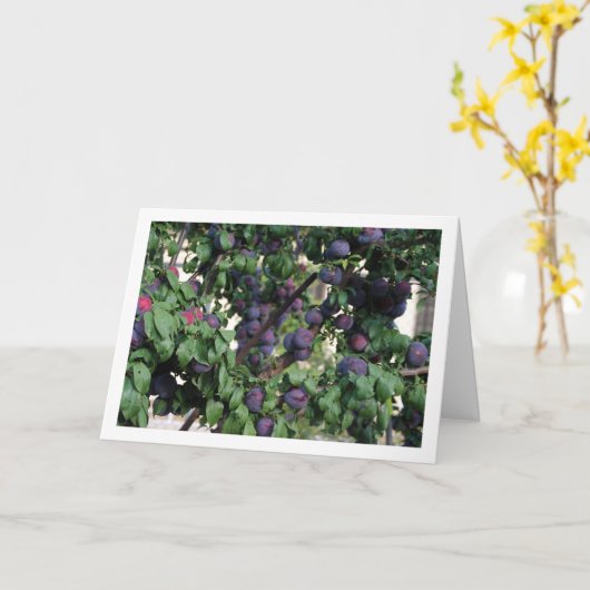 Lila Bäume Karte (Gelbe Blume)