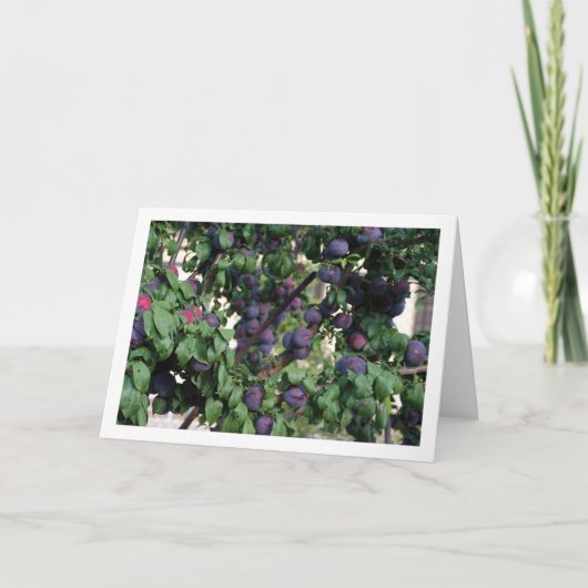 Lila Bäume Karte (Vorderseite)