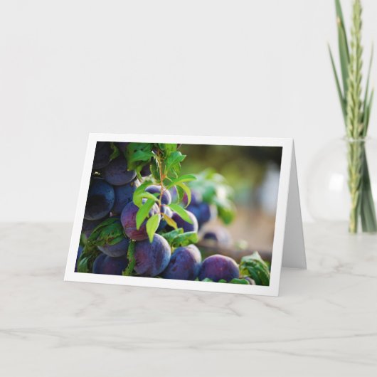 Lila Bäume Karte (Vorderseite)