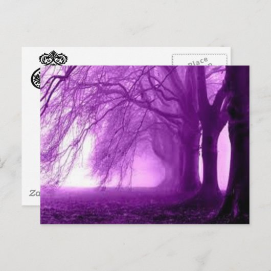 lila Bäume Postkarte (Vorne/Hinten)
