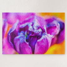 Lila Beauty Tulip Blume