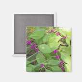 Lila Beautybeeren Magnet (Vorderseite/Rückseite)