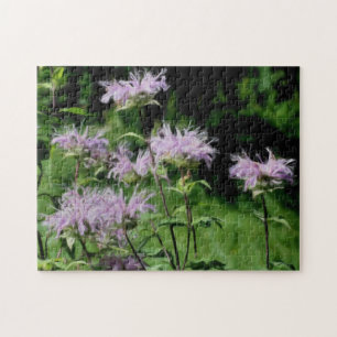 Lila Bee Balm Blume Foto Malerei Puzzle