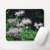 Lila Bee Balm-Blume Mousepad (Mit Mouse)