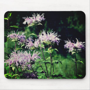 Lila Bee Balm-Blume Mousepad