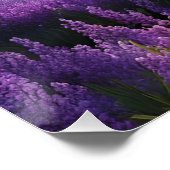 Lila Bergtal Sonnenaufgang Poster (Ecke)