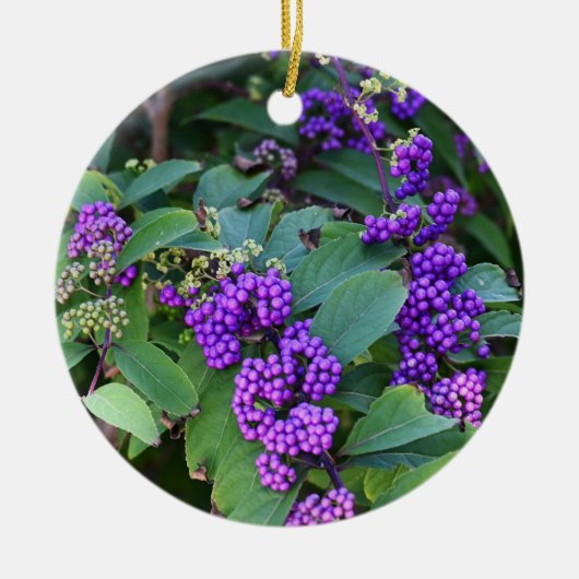 Lila Berries Foto Ornament (Vorne)