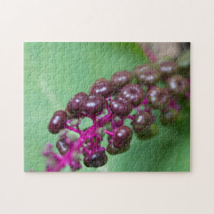 Lila Berries Puzzle
