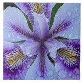 Lila Beunabhängig Iris Floral Fliese (Vorderseite)