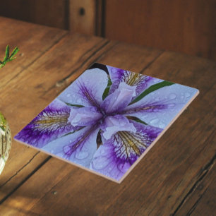 Lila Beunabhängig Iris Floral Fliese