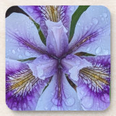 Lila Beunabhängig Iris Floral Getränkeuntersetzer (Vorderseite)