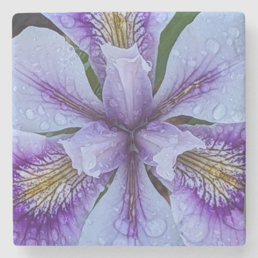 Lila Beunabhängig Iris Floral Steinuntersetzer (Vorderseite)