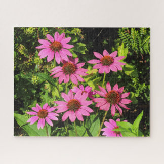 Lila Bewohner, Bute Park, Cardiff, Wales Puzzle