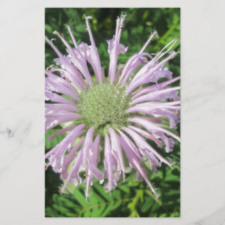 Lila Bienenpalme Briefpapier