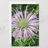 Lila Bienenpalme Briefpapier (Vorne/Hinten)