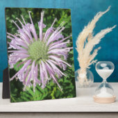 Lila Bienenpalme Fotoplatte (Seite)