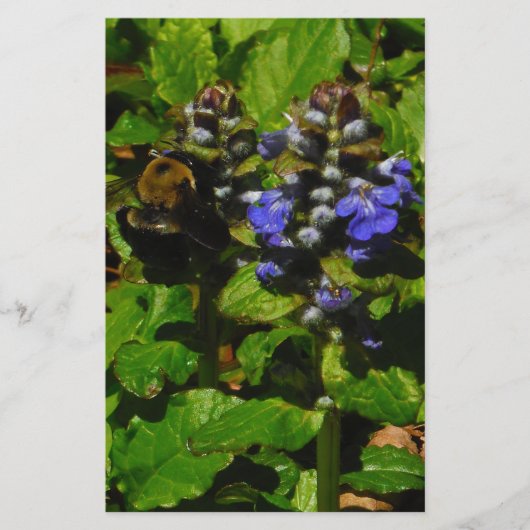 Lila Bienenvölker und Hummel Briefpapier (Vorderseite)